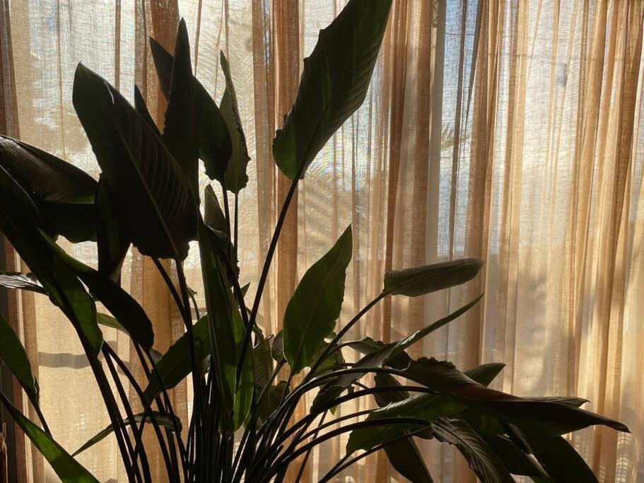 胜浦Secret Break Hebara别墅 外观 照片
